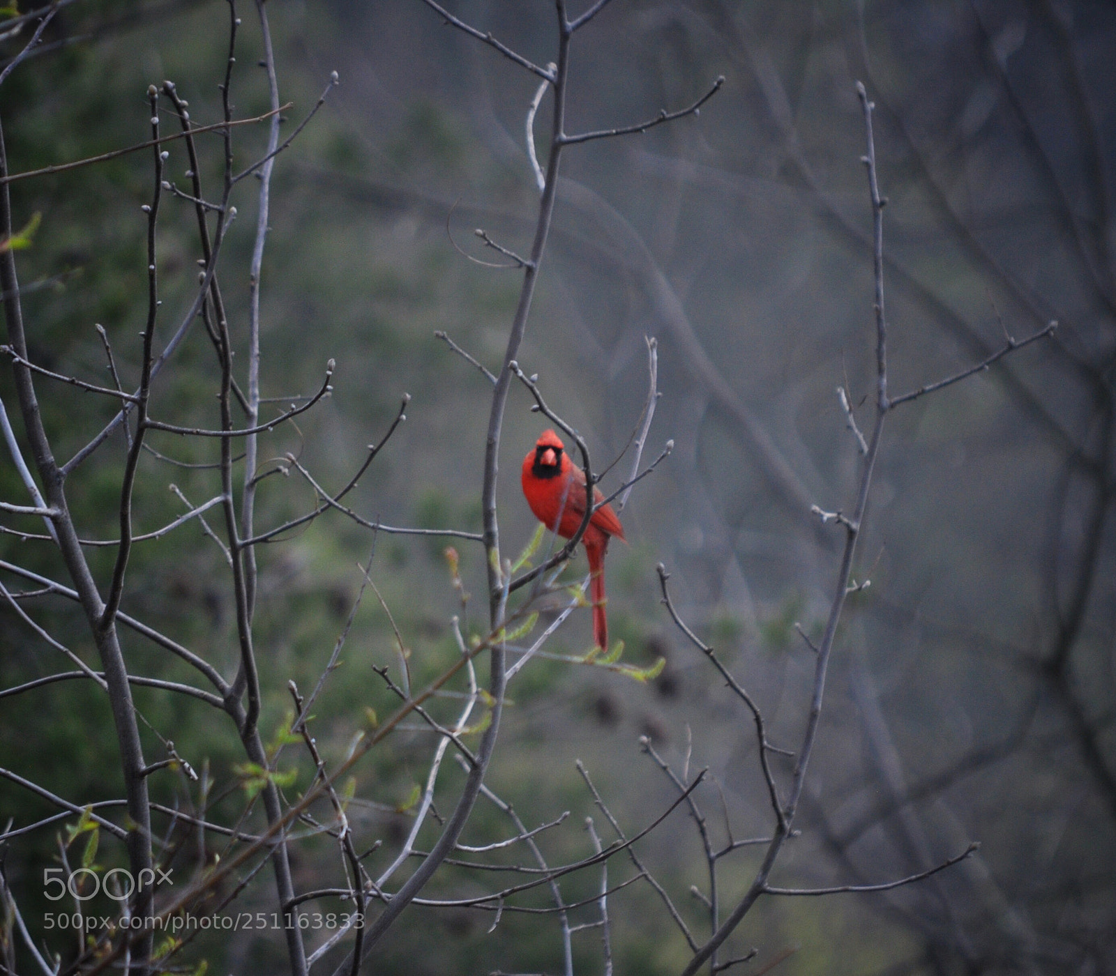 Nikon D90 sample photo. Untitled photography