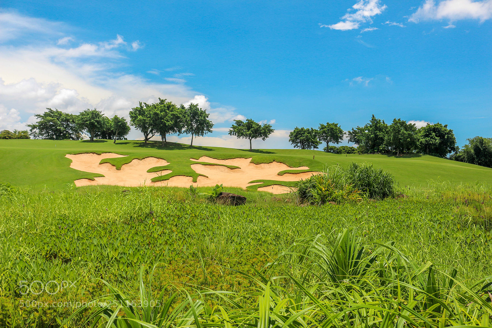 Canon EOS 700D (EOS Rebel T5i / EOS Kiss X7i) sample photo. Golf course in hainan photography