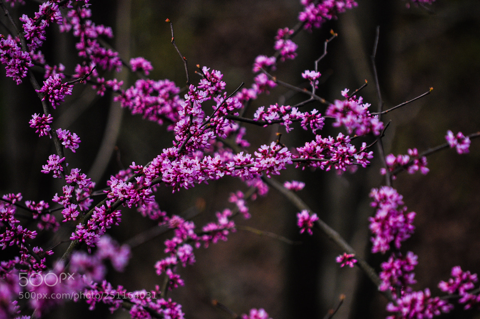 Nikon D90 sample photo. Untitled photography