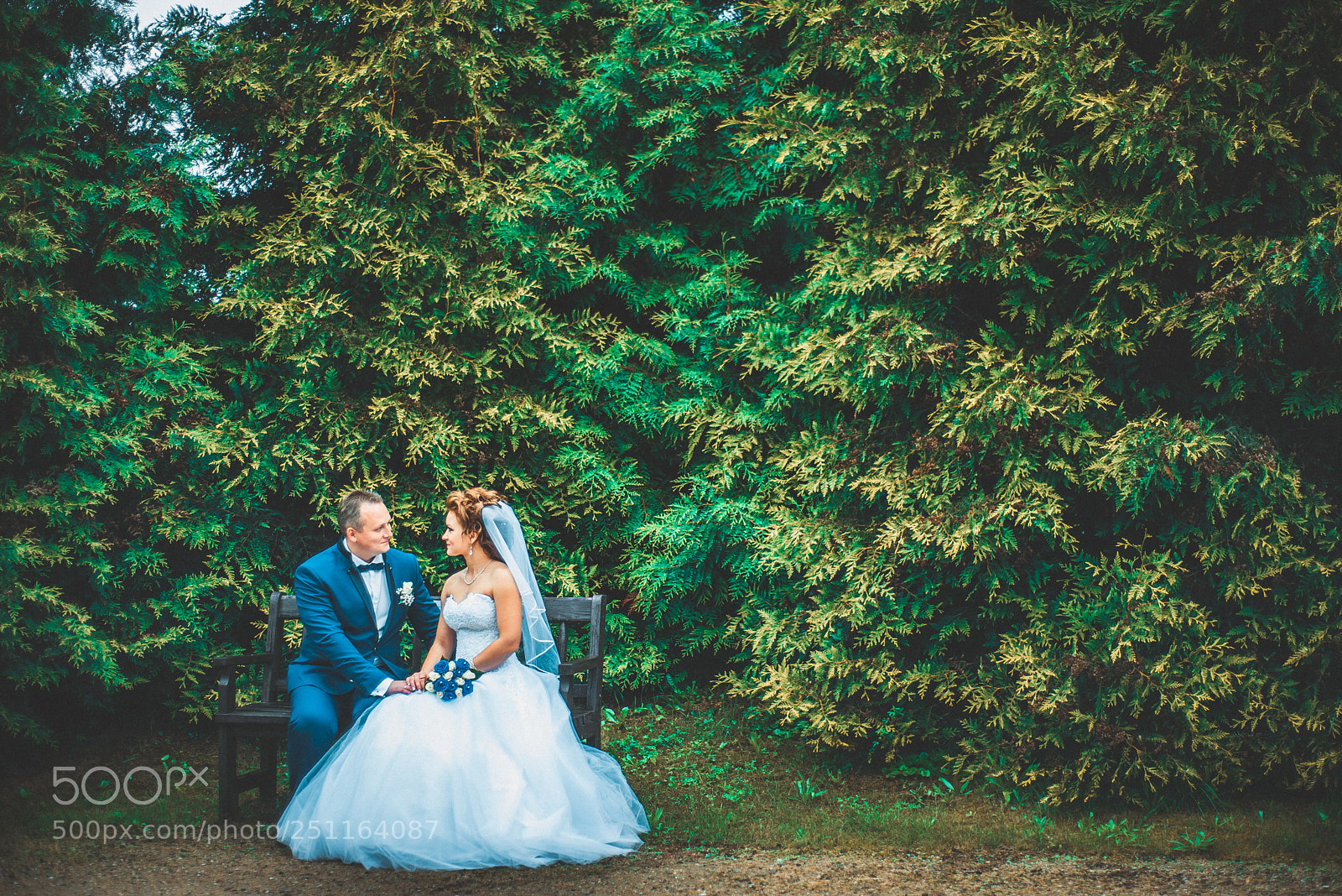 Nikon D800 sample photo. Wedding a&a photography