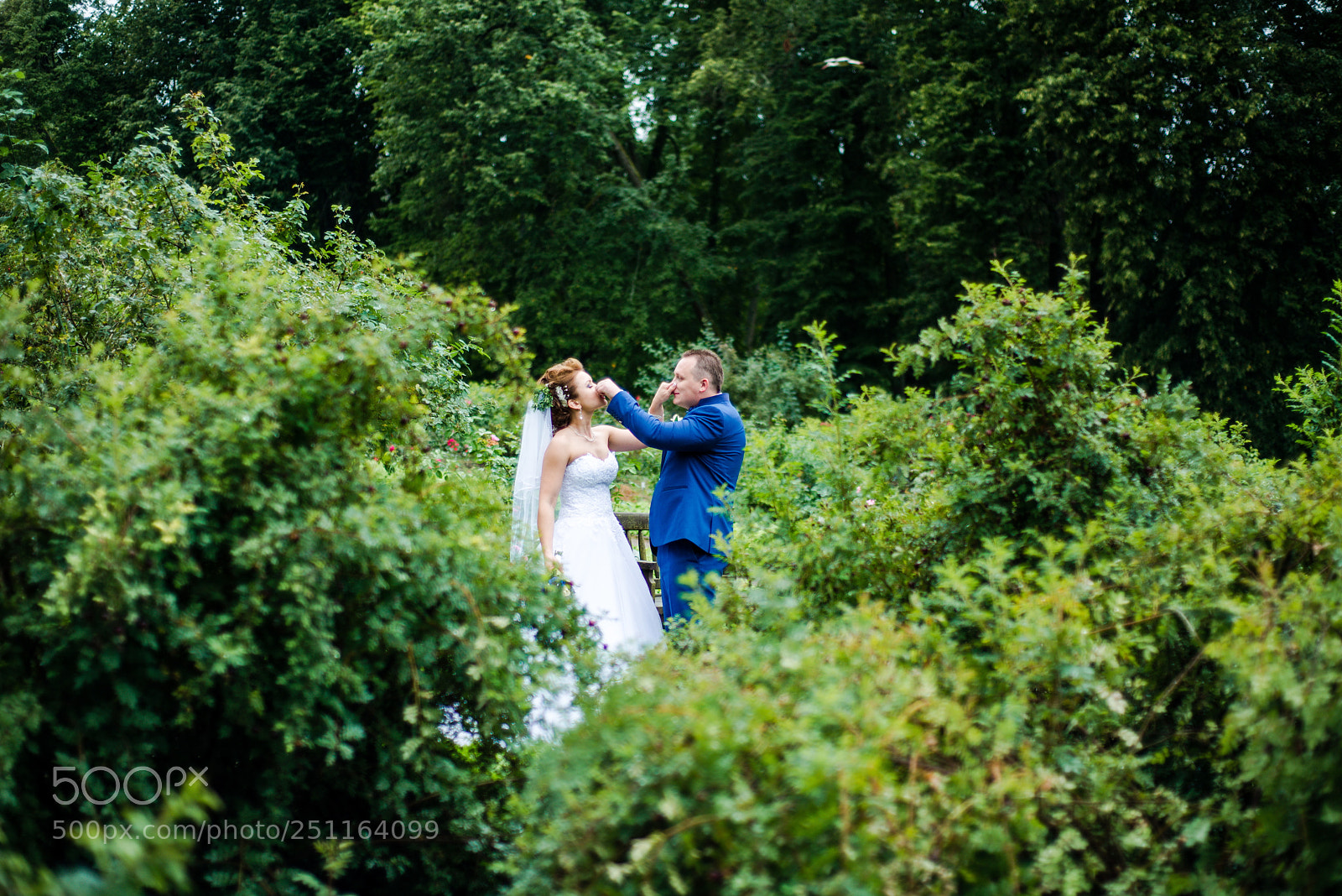 Nikon D800 sample photo. Wedding a&a photography