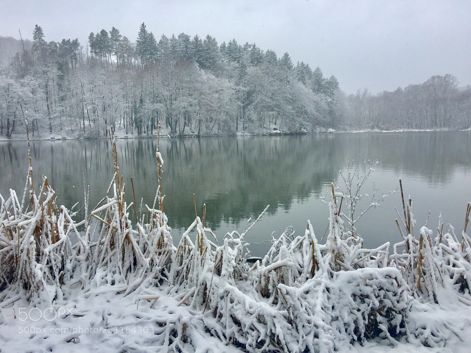 Apple iPhone 6 Plus sample photo. Winterwonderland photography