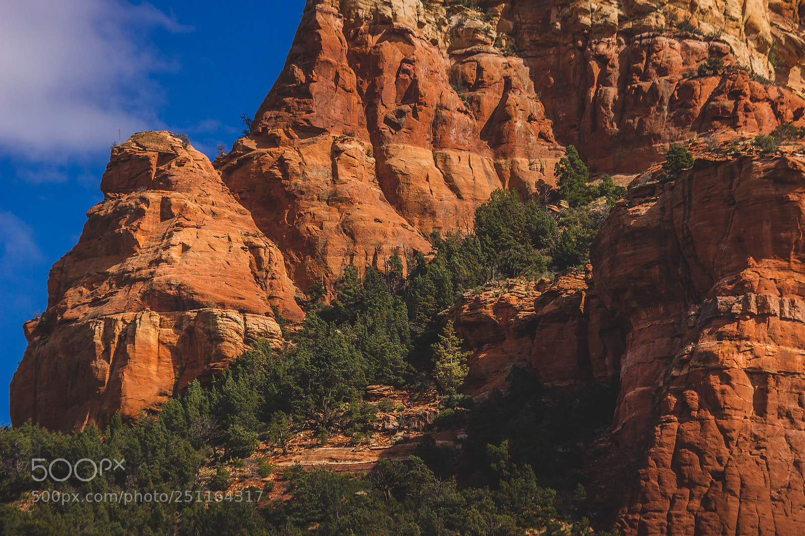 Canon EOS 600D (Rebel EOS T3i / EOS Kiss X5) sample photo. Capitol butte details photography