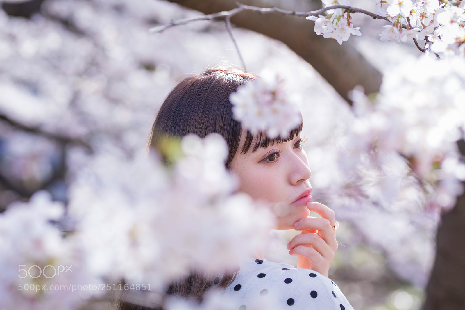 Canon EOS 5D Mark IV sample photo. Meri photography
