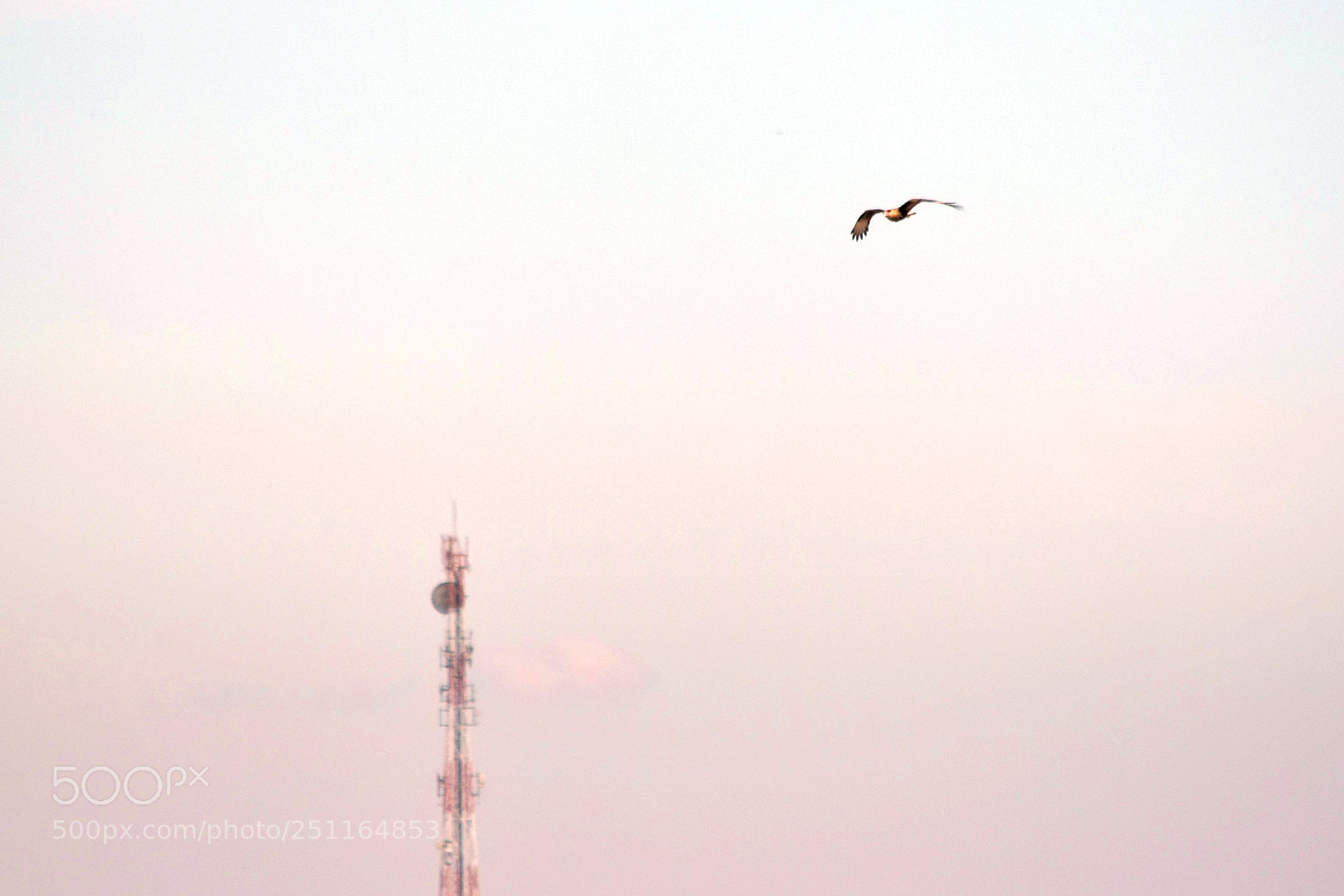 Nikon D5300 sample photo. "bonjuxuxu... photography