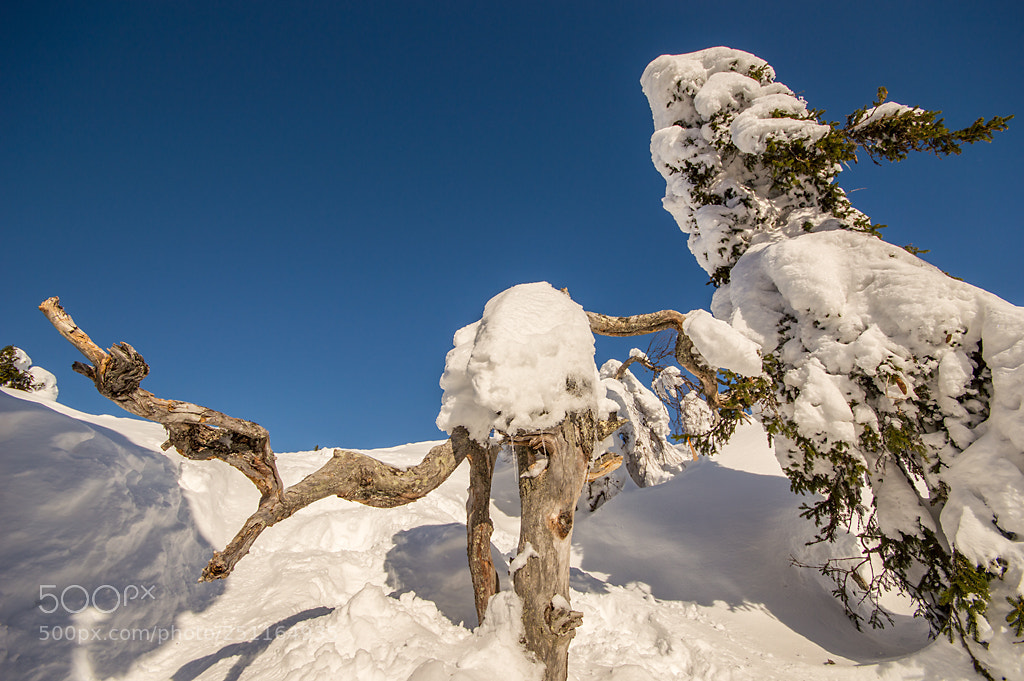 Nikon D3200 sample photo. Koli - finland photography