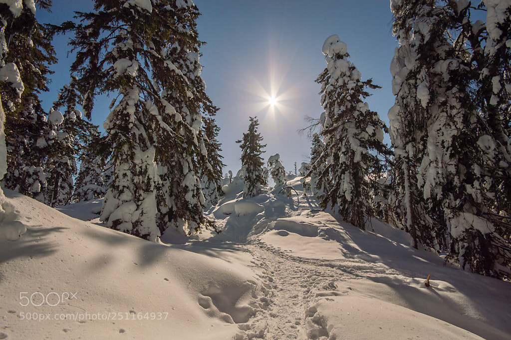 Nikon D3200 sample photo. Koli - finland photography