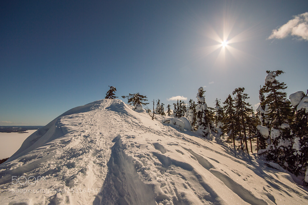 Nikon D3200 sample photo. Koli - finland photography
