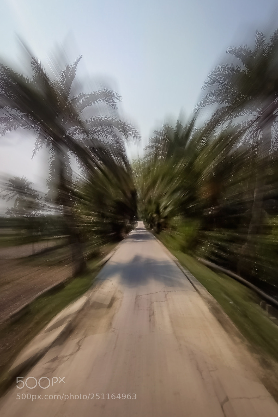 Xiaomi Redmi Note 4 sample photo. Img_20180309_140521.jpg photography