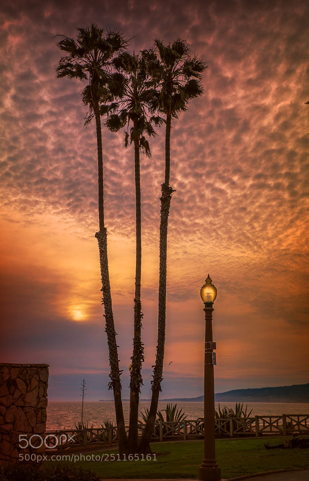 Nikon D600 sample photo. Santa-monica. sunset. photography