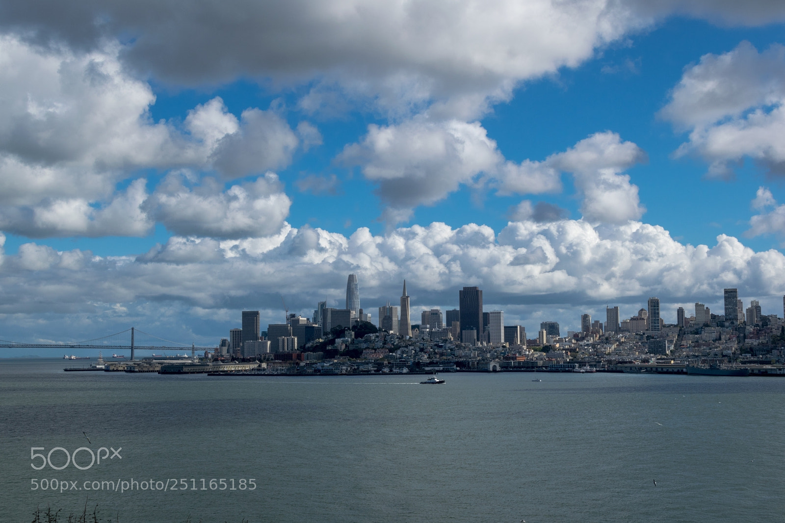 Nikon D5300 sample photo. San francisco skyline from photography