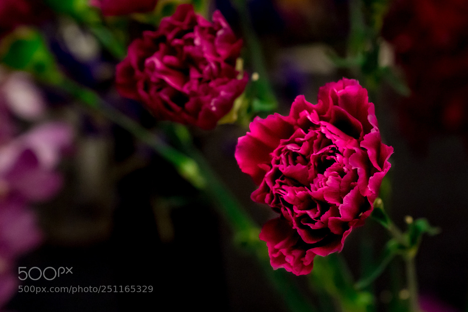 Sony a7R III sample photo. Flowers photography