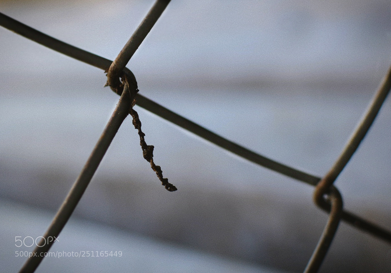 Nikon D3200 + Nikon AF-S DX Nikkor 35mm F1.8G sample photo. *** photography