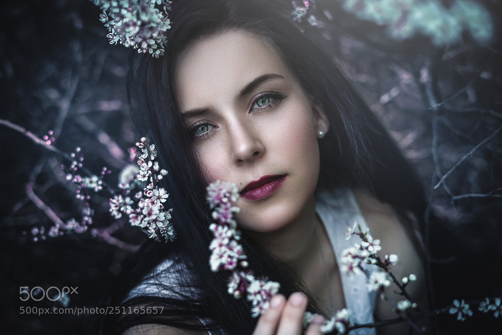 Sony a7R sample photo. Spring photography