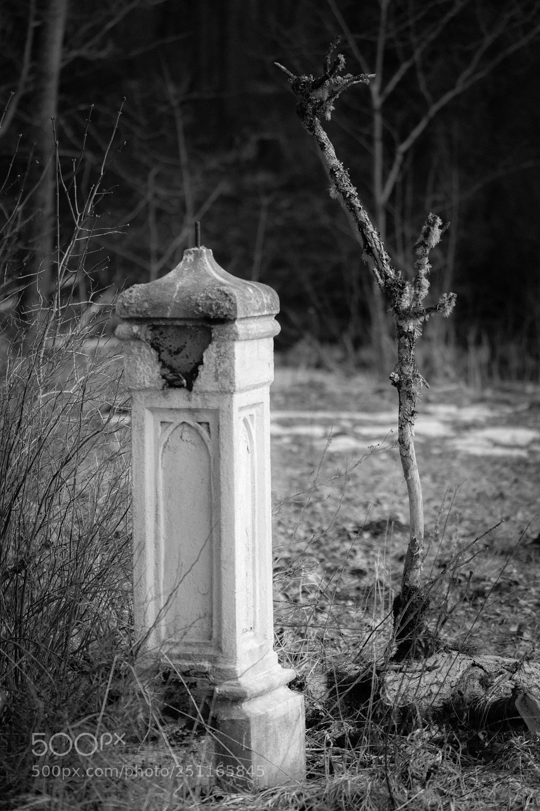 Sony a7R II sample photo. Dsc photography