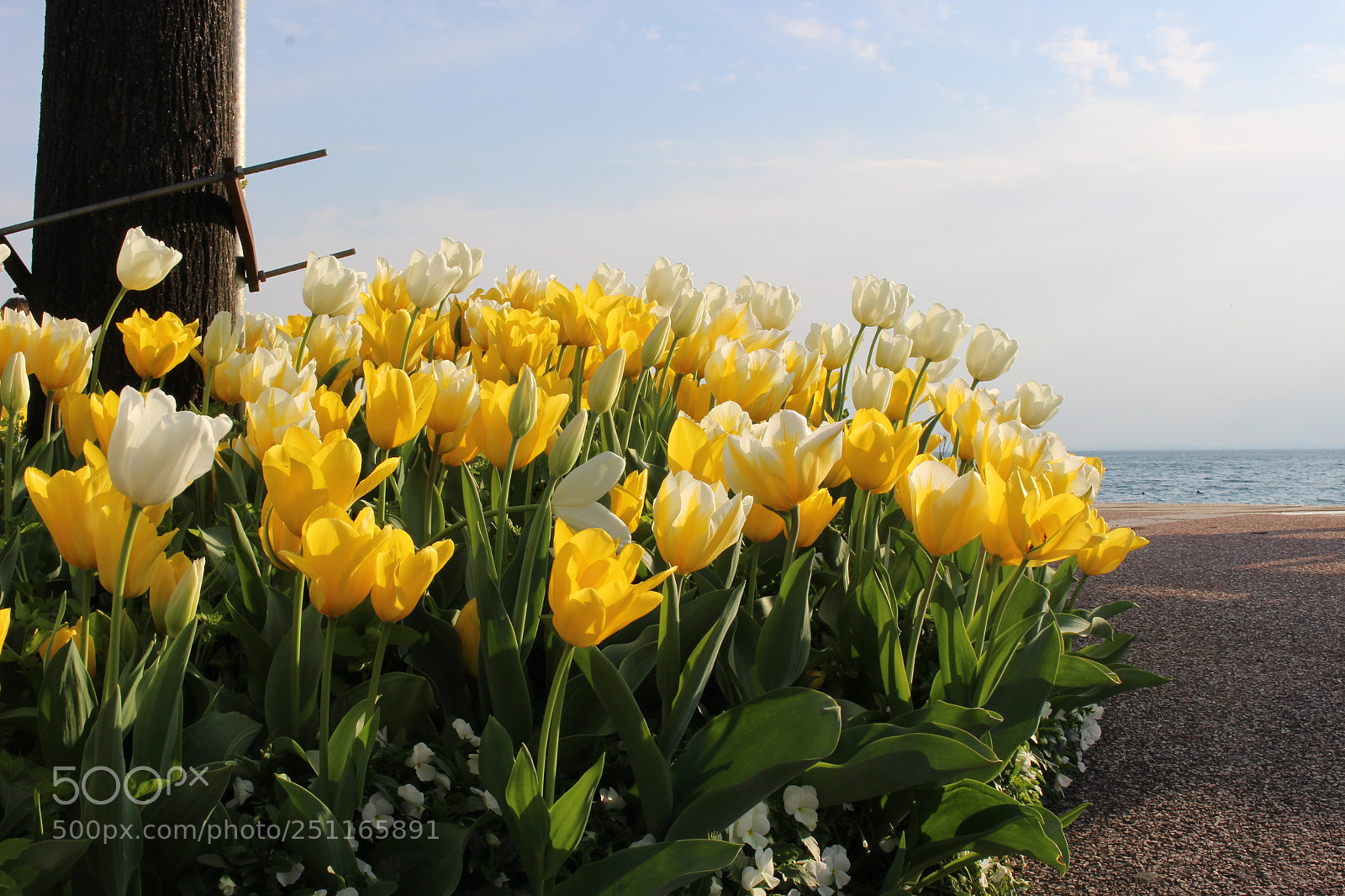 Canon EOS 100D (EOS Rebel SL1 / EOS Kiss X7) sample photo. Spring near the lake photography