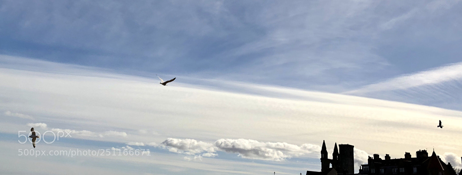 Apple iPhone X sample photo. Seagulls over the st photography