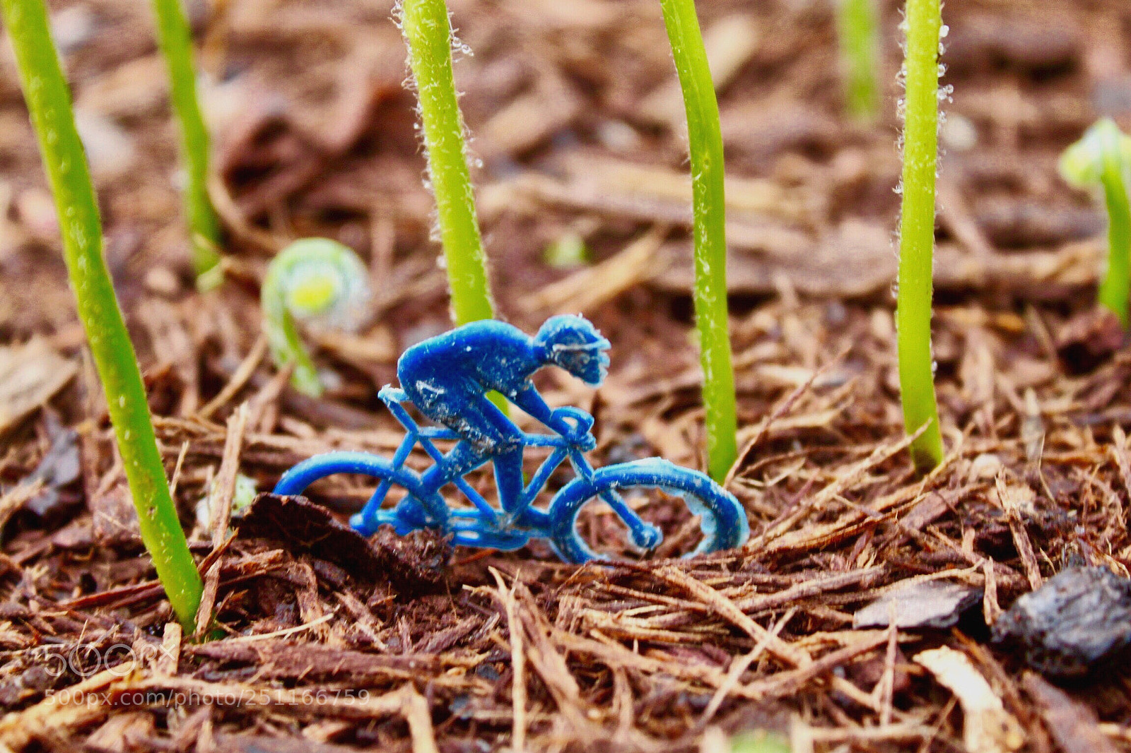 Canon EOS 500D (EOS Rebel T1i / EOS Kiss X3) sample photo. Man on bicycle  photography