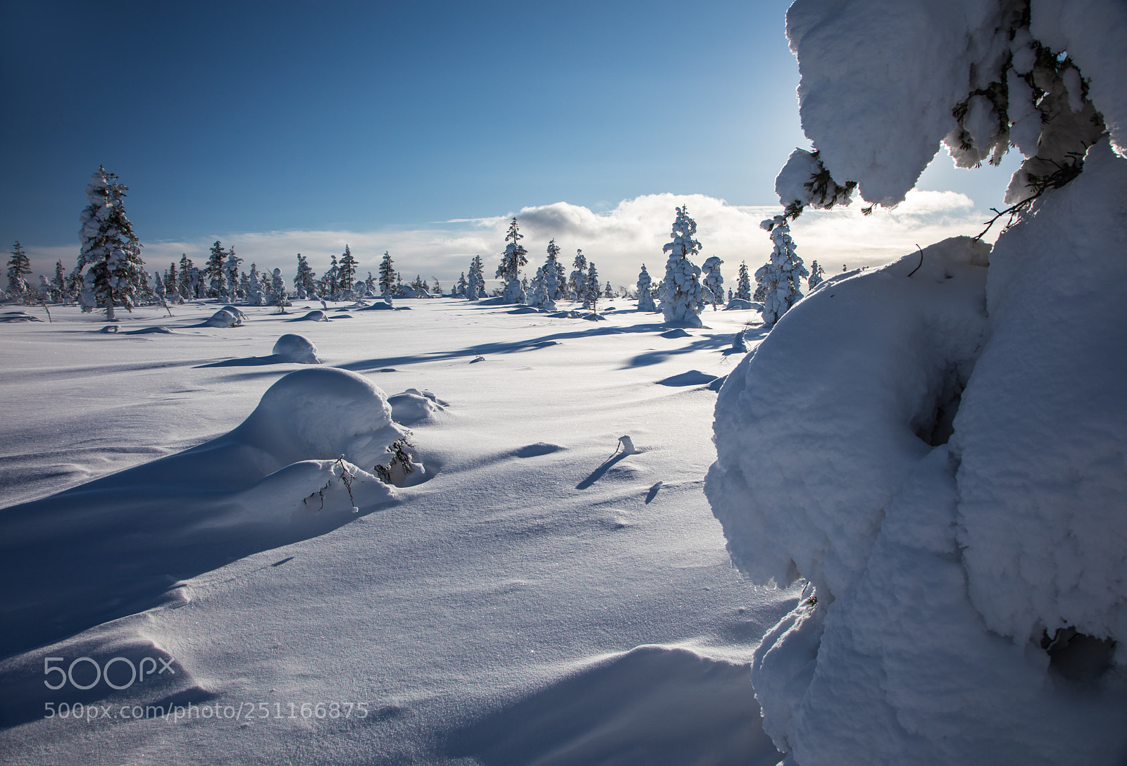 Canon EOS 5D Mark IV sample photo. Ice crust photography