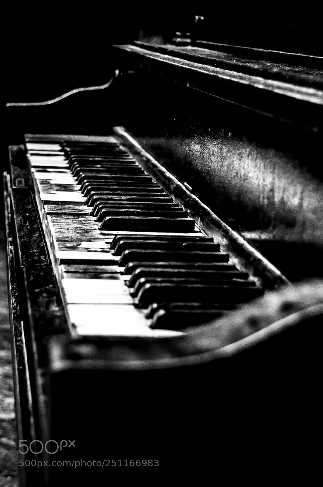 Nikon D90 sample photo. Piano photography