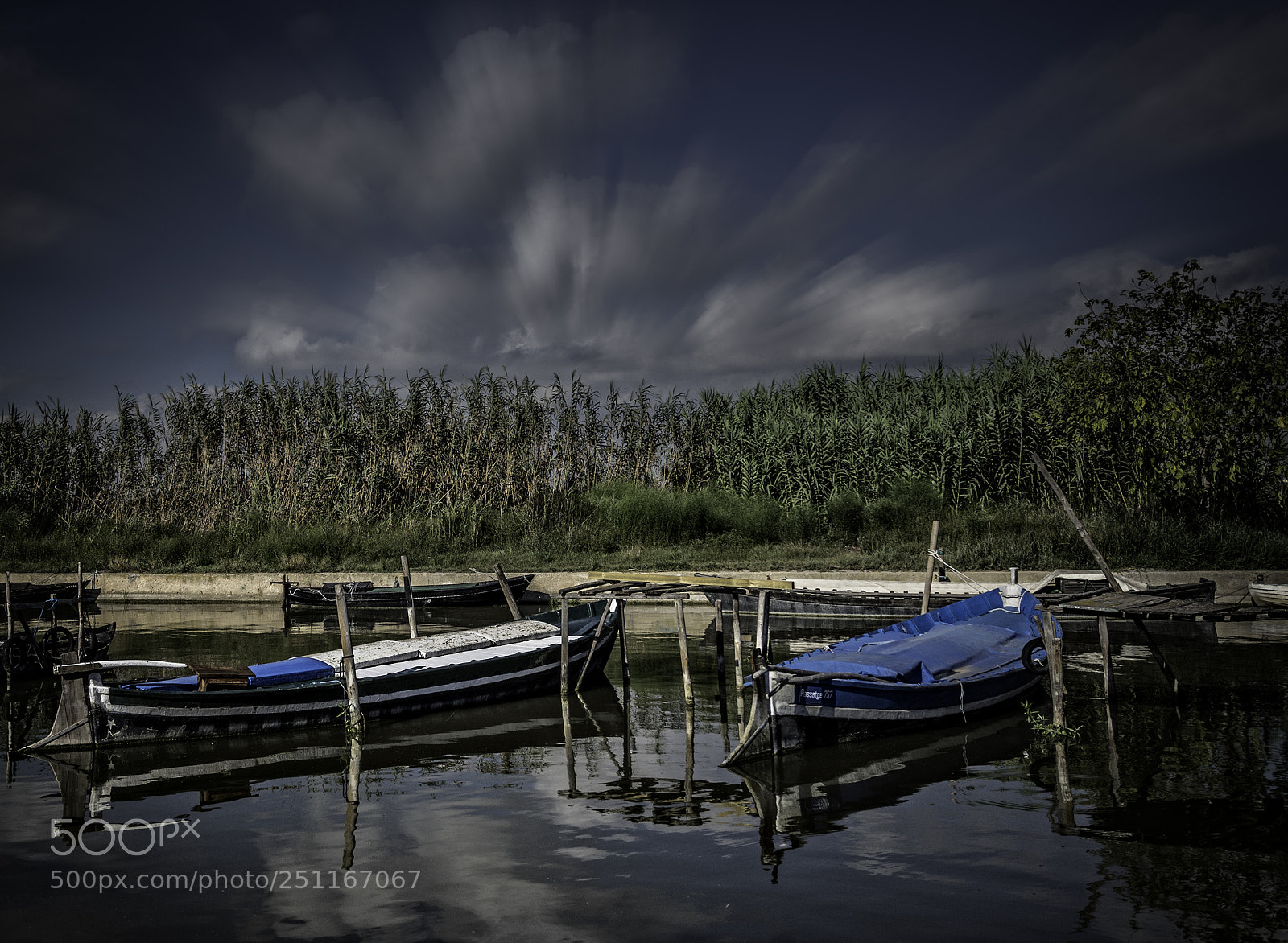 Sony a7R II sample photo. Celaje photography
