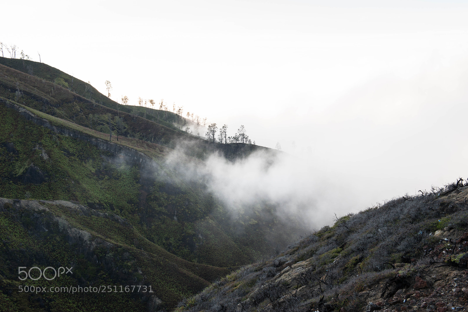 Nikon D700 sample photo. Smokey ridge photography