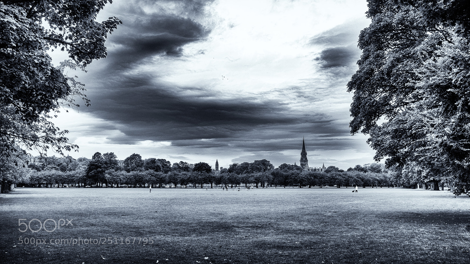 Fujifilm X100S sample photo. In the meadows photography