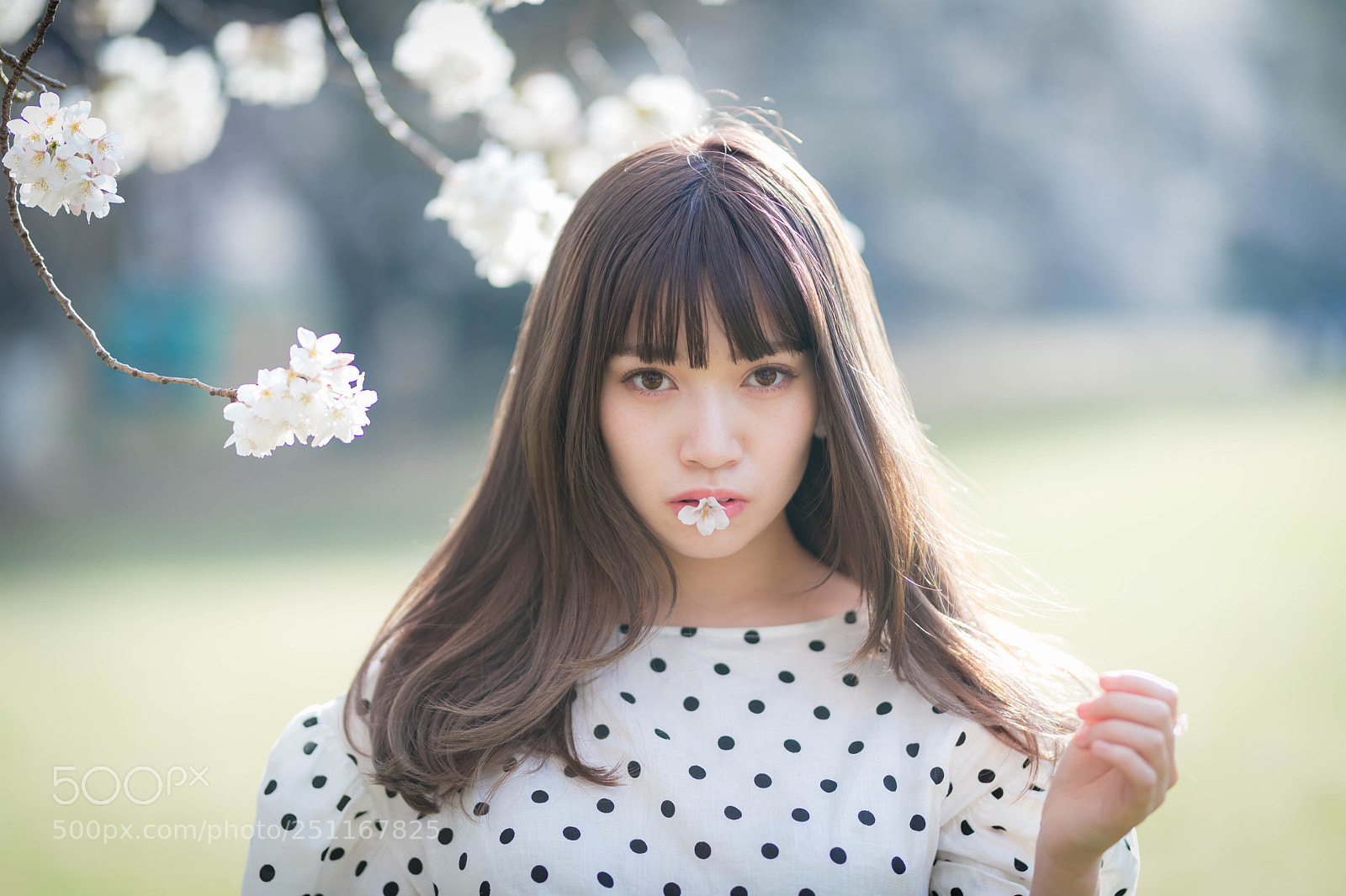 Canon EOS 5D Mark IV sample photo. So beautiful photography