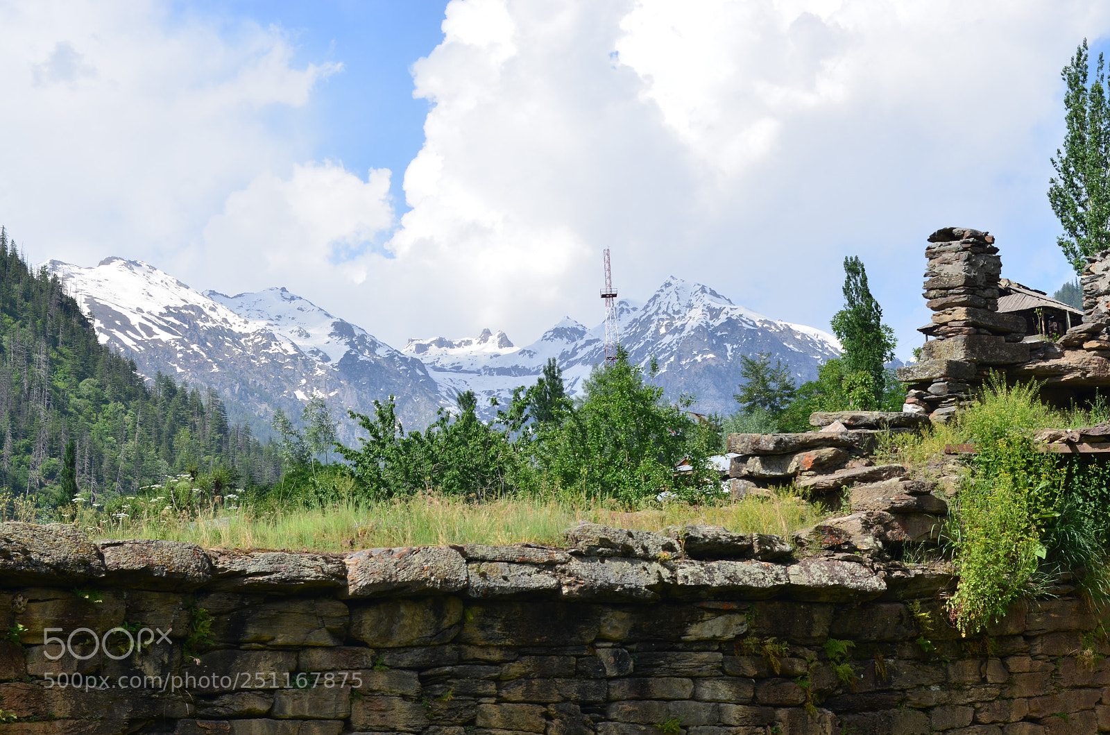 Nikon D5100 sample photo. Untitled photography