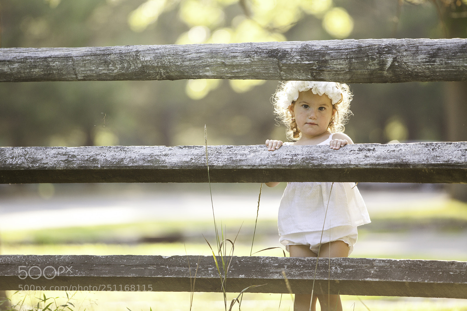 Canon EOS 5D Mark II sample photo. Mg photography