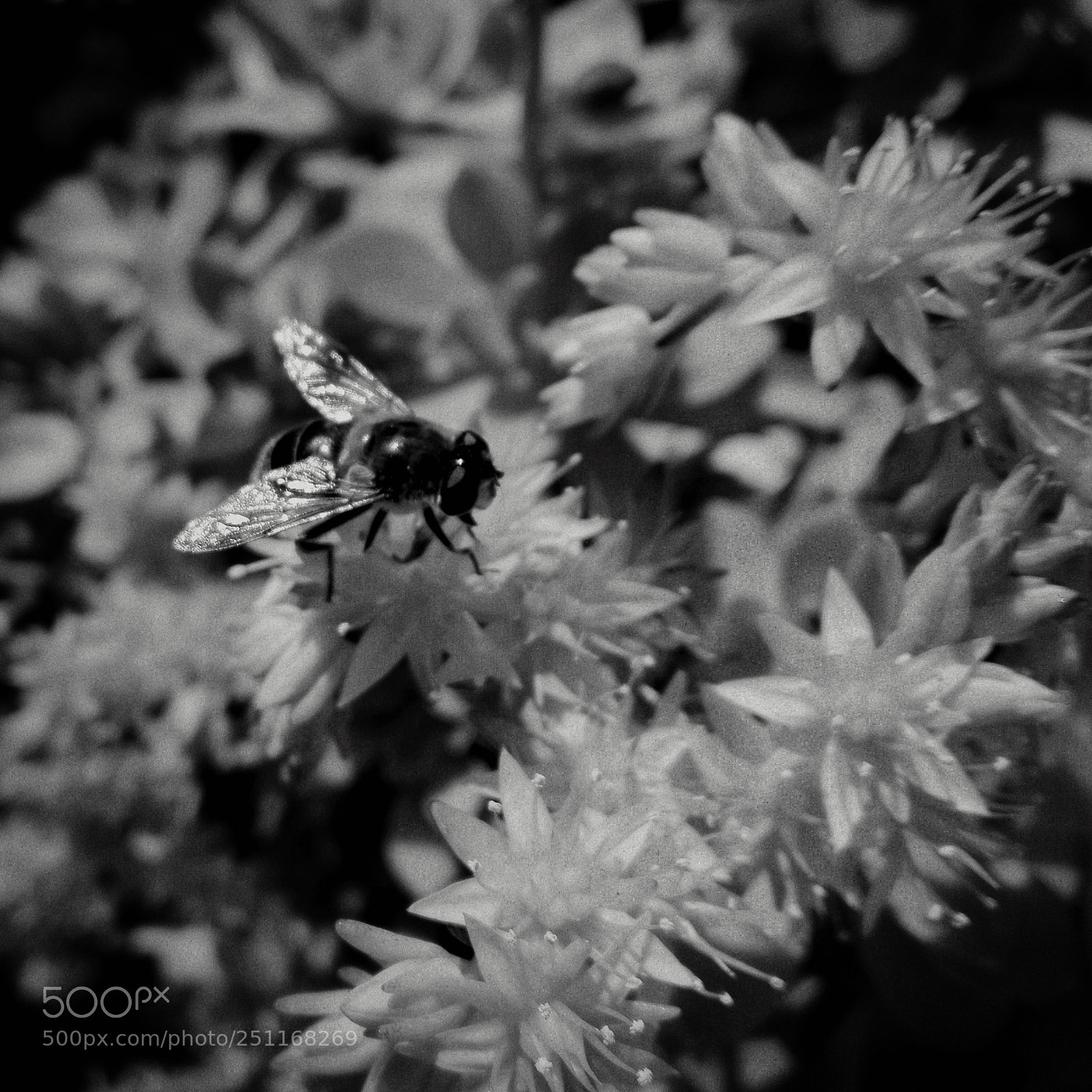 HUAWEI P8 Lite sample photo. Untitled photography
