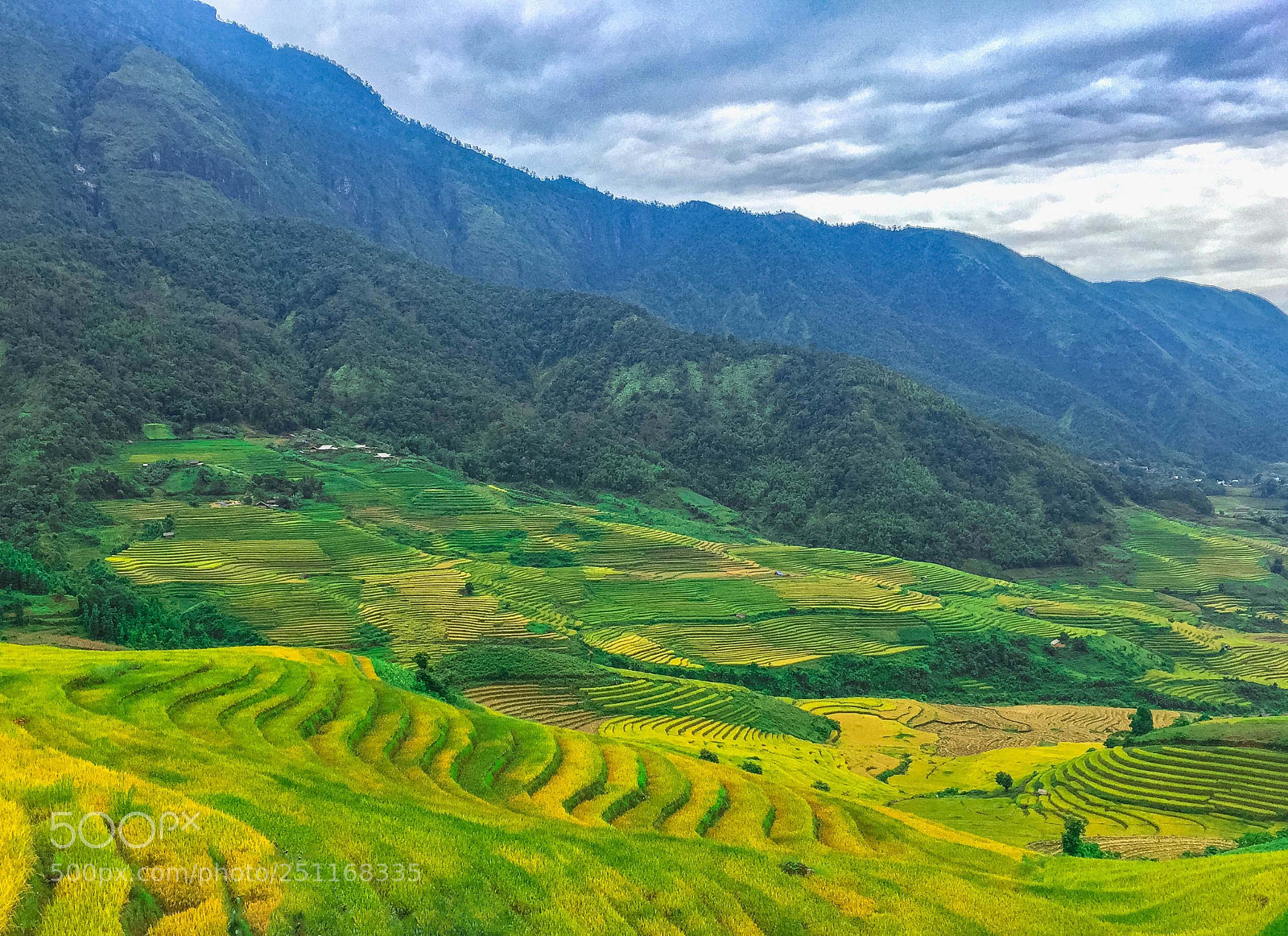 Apple iPhone 6 sample photo. Vietnam photography