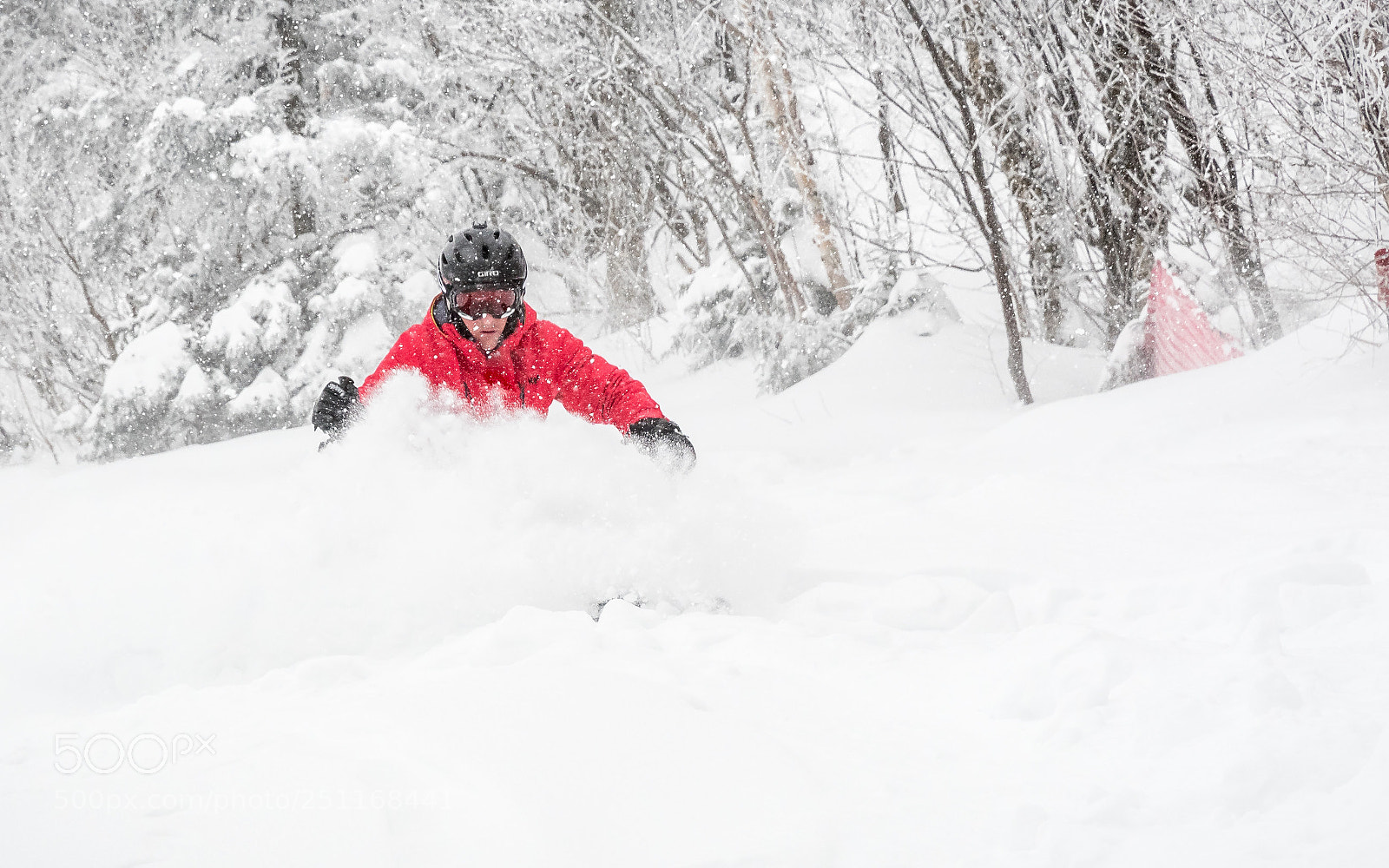 Nikon D500 sample photo. Deep powder photography