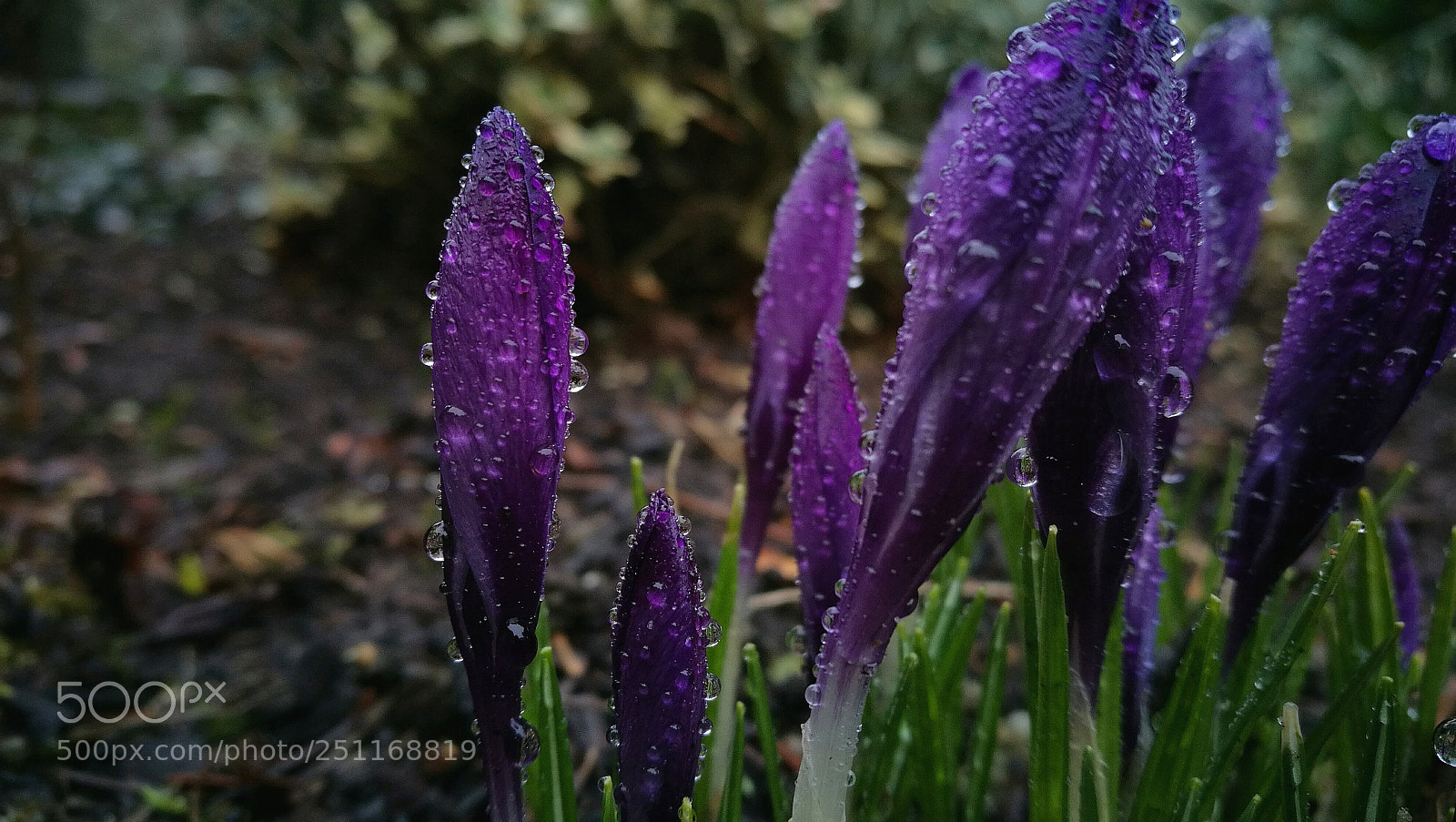 HUAWEI Honor 8 sample photo. Untitled photography