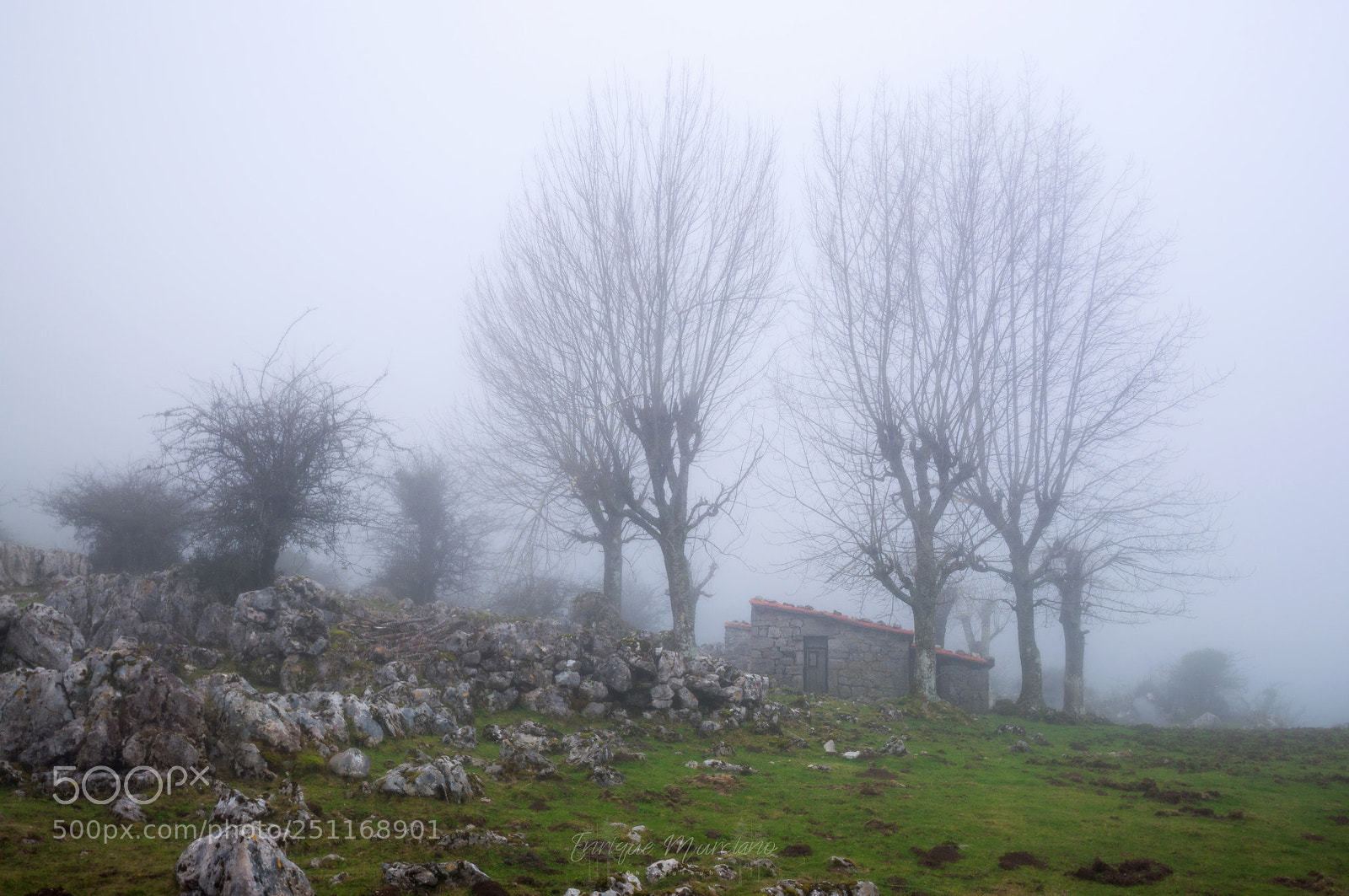 Nikon D90 sample photo. Lagos de covadonga bajo photography