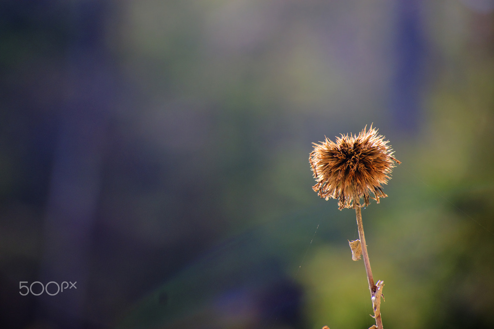 Nikon D5300 sample photo. Empty space photography