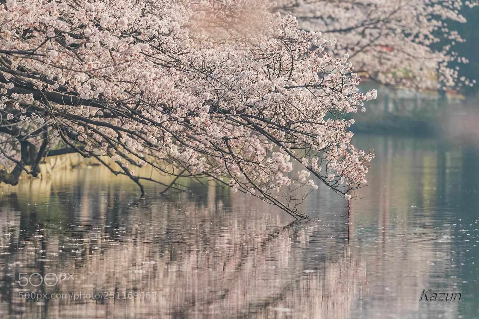 Canon EOS-1D X Mark II sample photo. Morning! photography