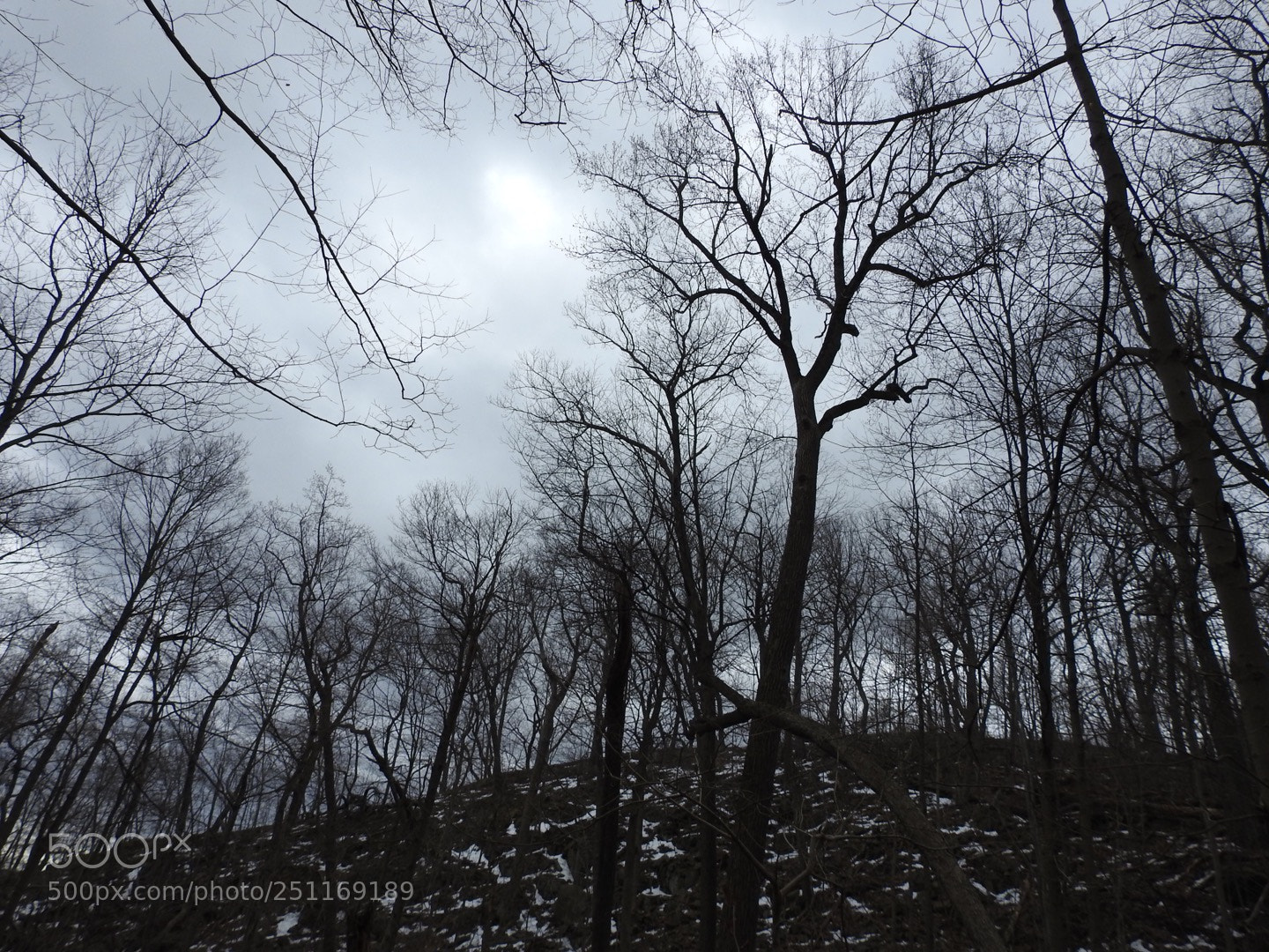 Nikon Coolpix P900 sample photo. Peanut leap cascade: 3/25/18 photography