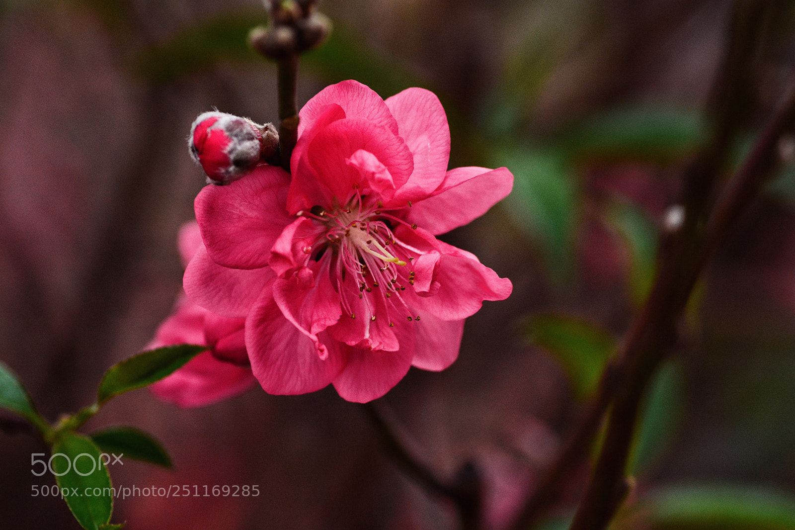 Nikon D7100 sample photo. Untitled photography
