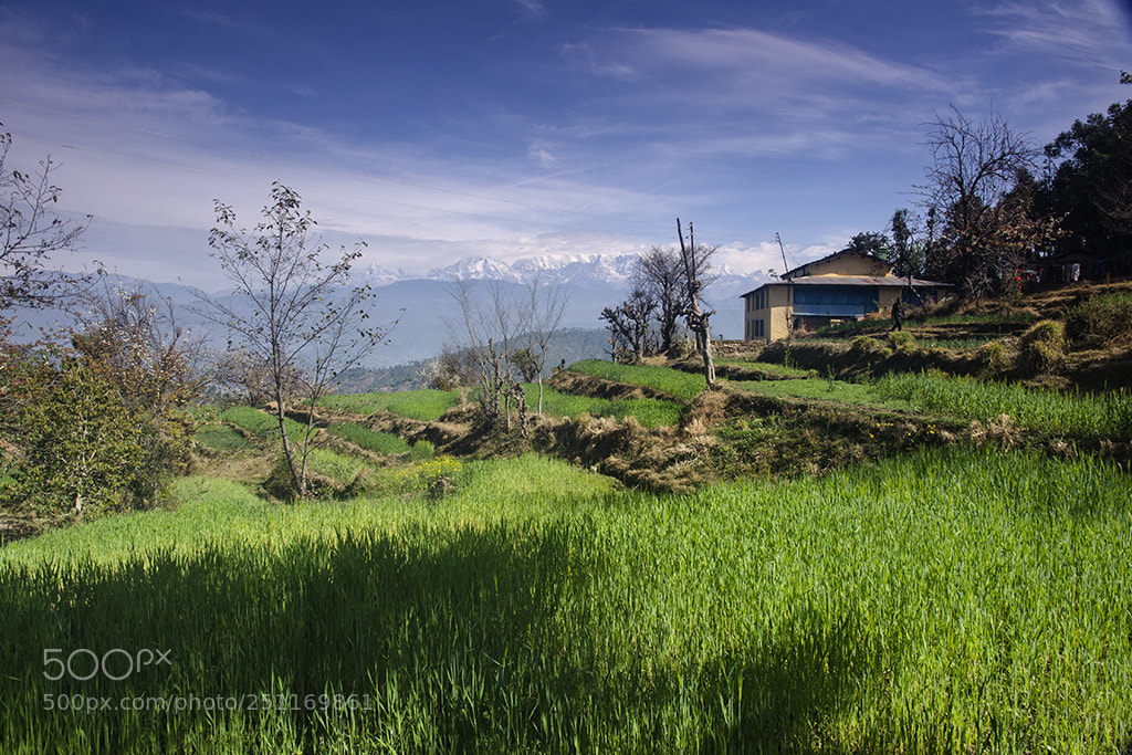 Nikon D7000 sample photo. Kausani landscape photography