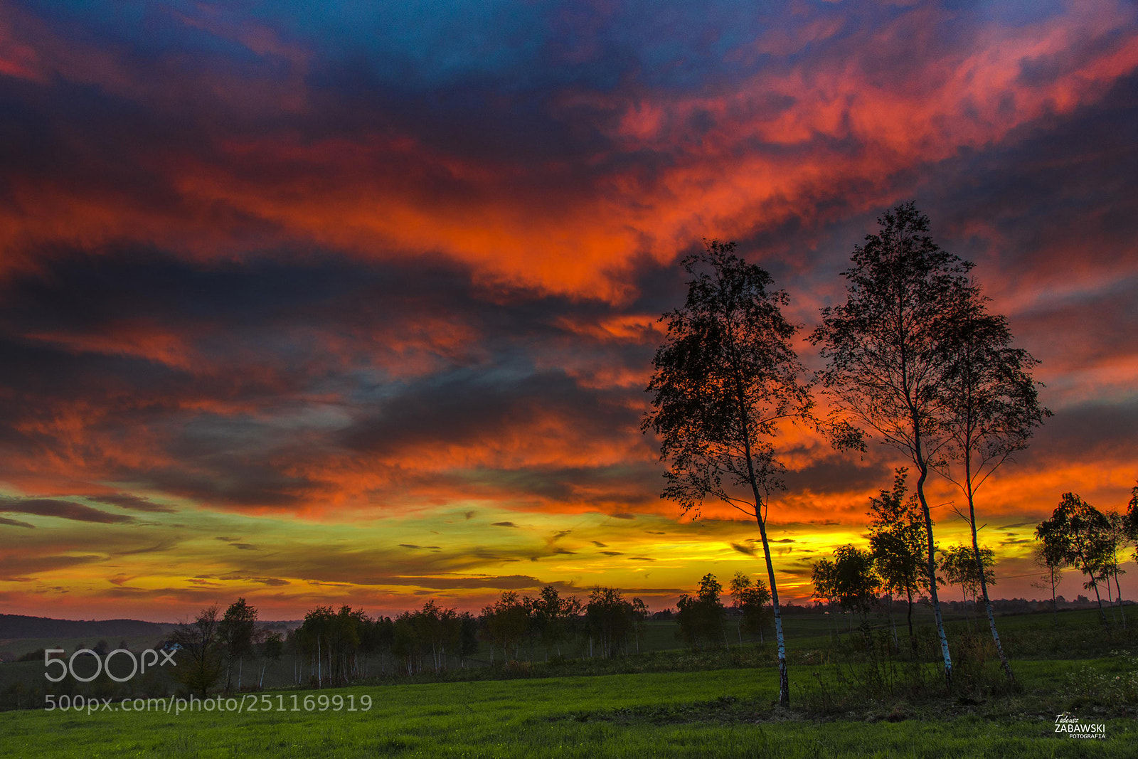 Nikon D7000 sample photo. Colorful sunset photography