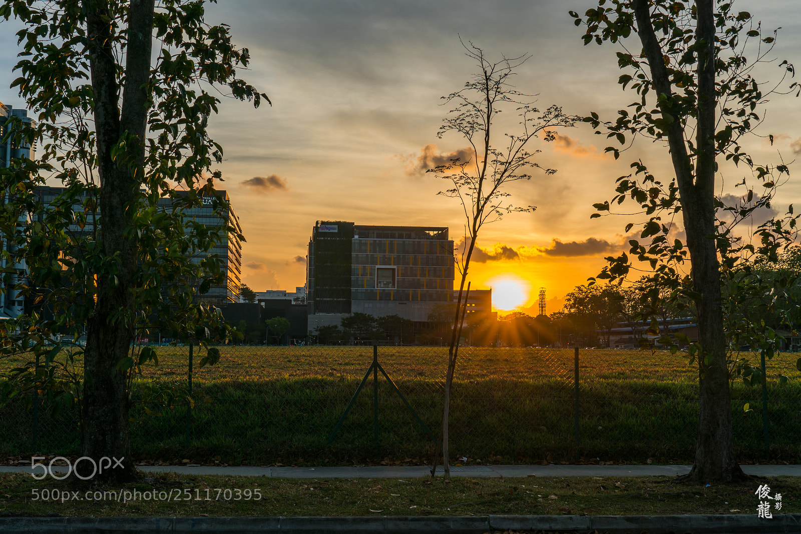 Sony a7R II sample photo. Rays of gold photography