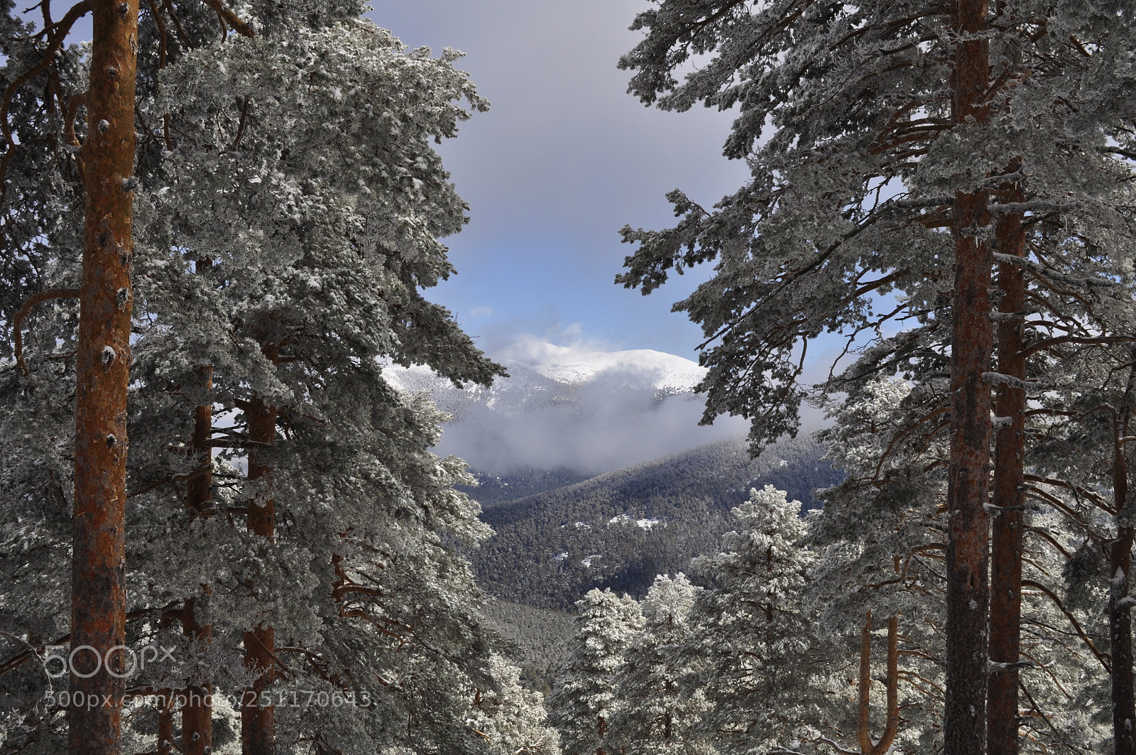 Nikon D5000 sample photo. In the distance photography
