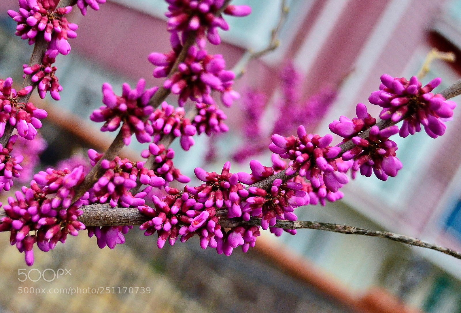 Nikon D7000 sample photo. Lovely photography