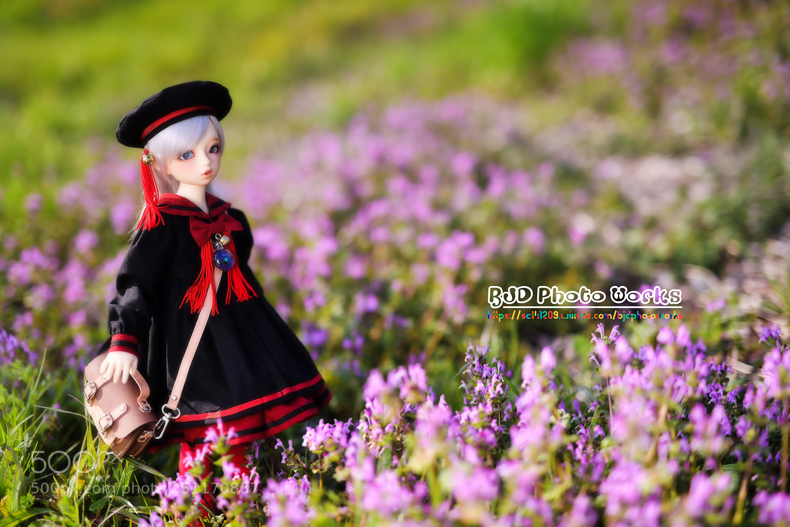 Nikon D850 sample photo. 春がキターーーーッ photography