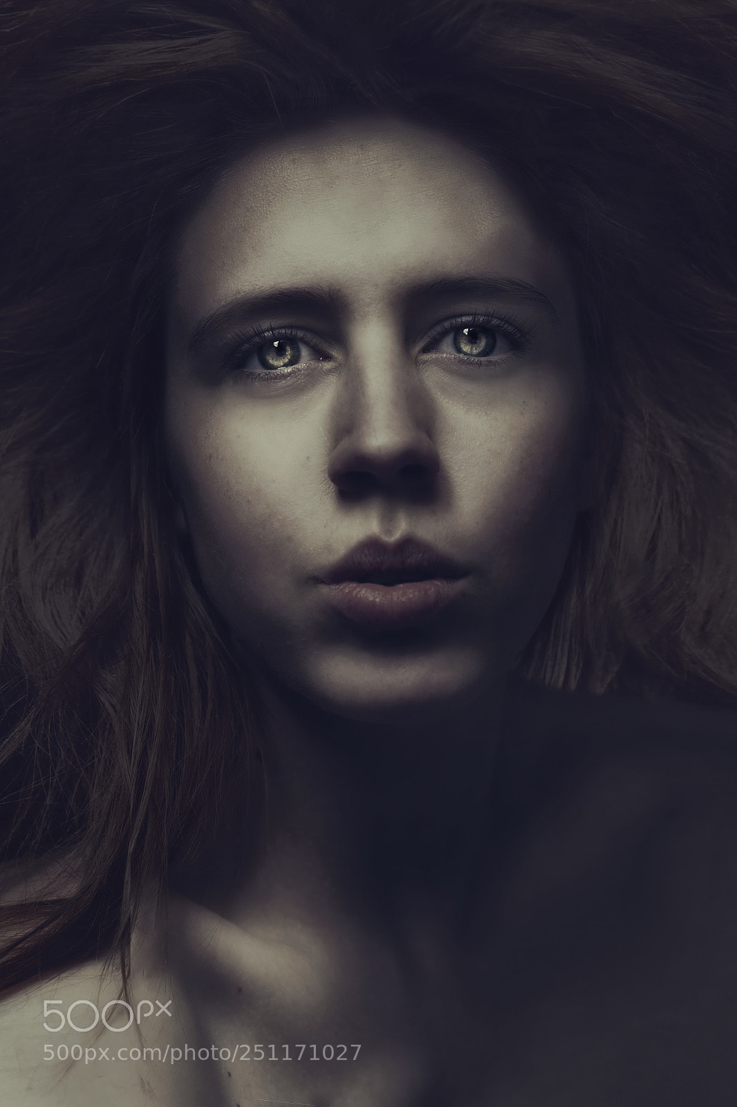 Nikon D5100 sample photo. Lioness photography