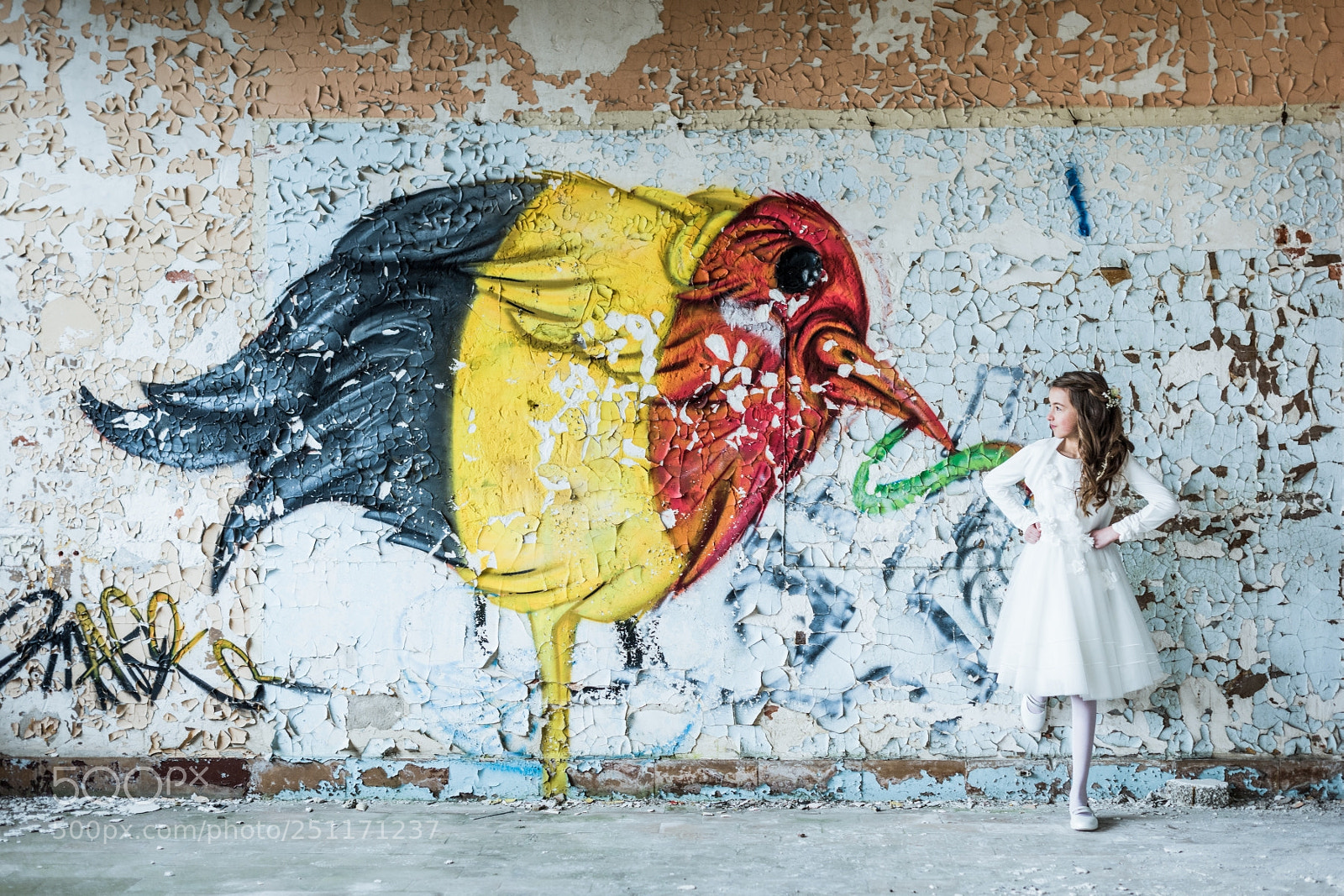 Nikon D810 sample photo. The girl and the photography