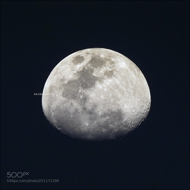 Sony SLT-A99V sample photo. Crescent_moon@85.4% photography