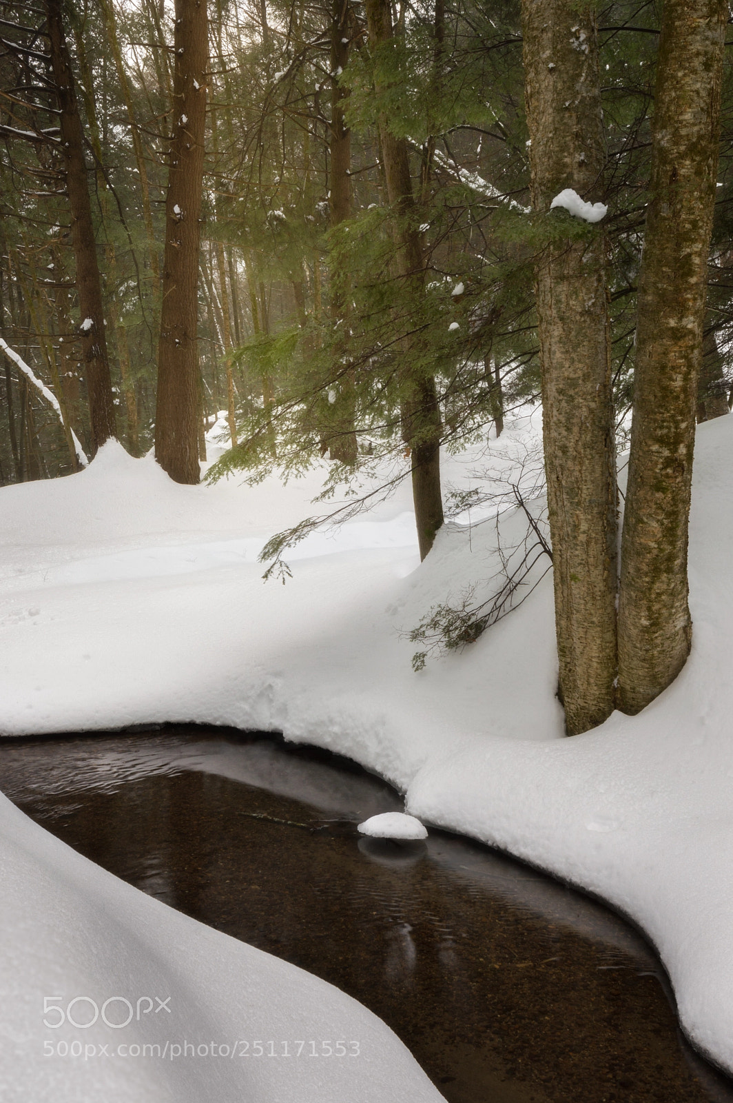Nikon D3200 sample photo. Winter stream. photography