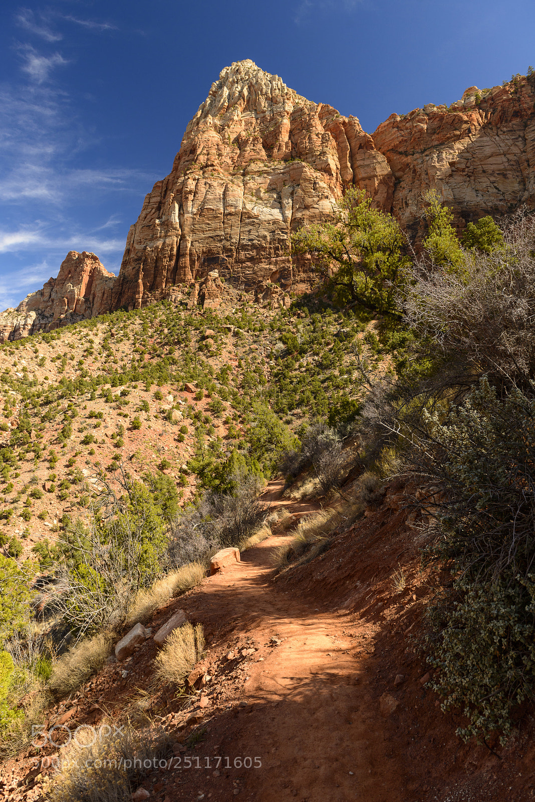 Nikon D800 sample photo. Watchman trail photography
